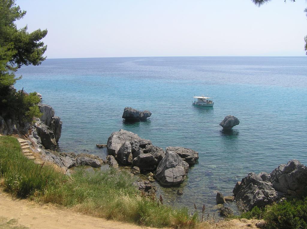 Apartment Traditional Agia Paraskevi (Kassandra)