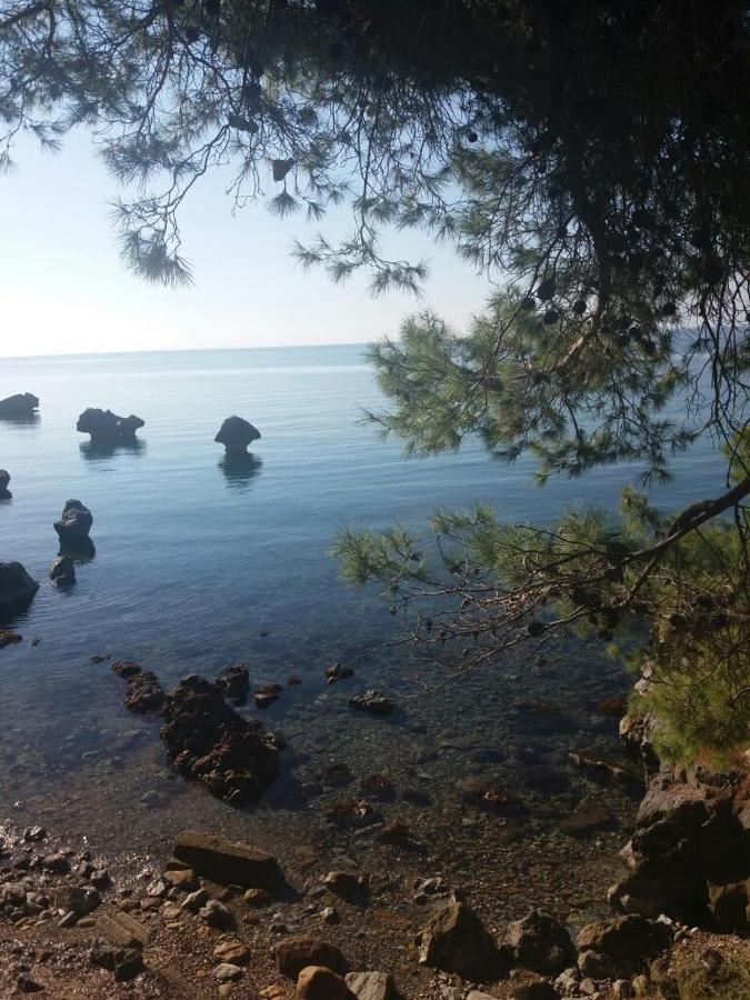 Traditional * Agia Paraskevi (Kassandra)