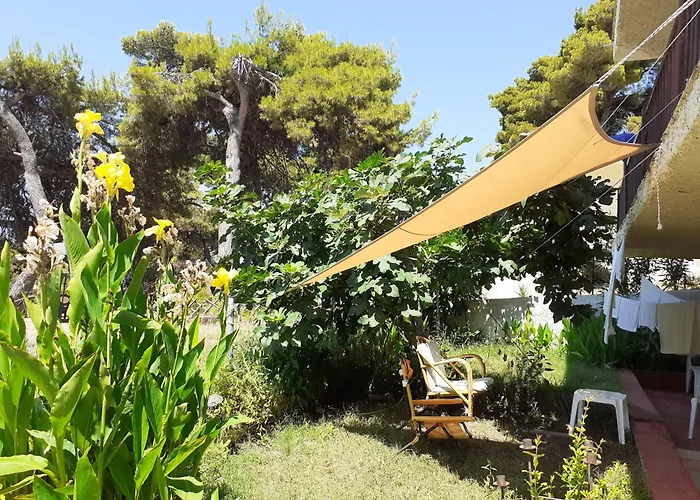 Traditional Guest House