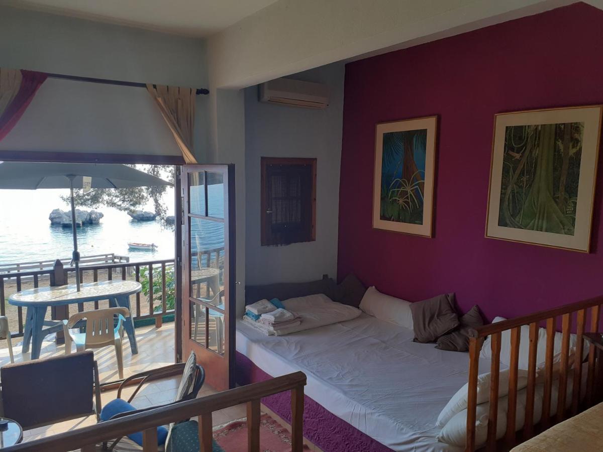 Traditional Appartement