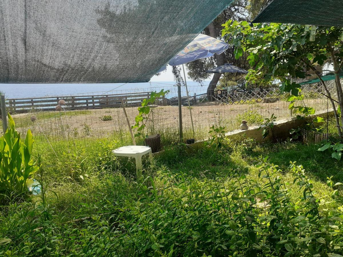 Traditional Agia Paraskevi (Kassandra)