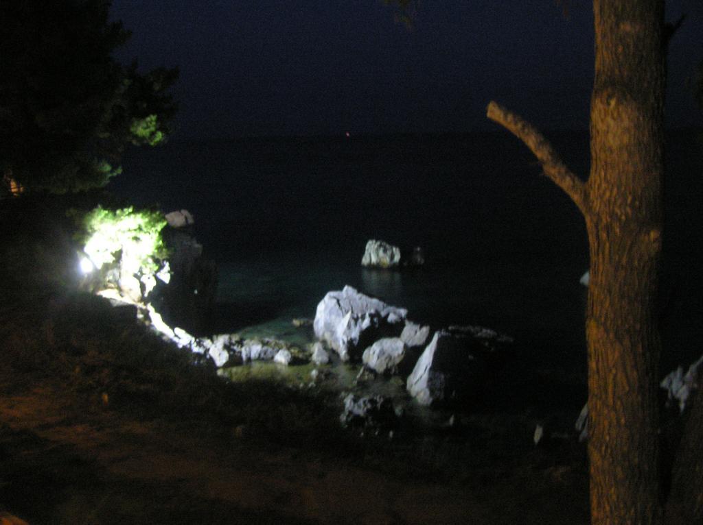 Traditional * Agia Paraskevi (Kassandra)